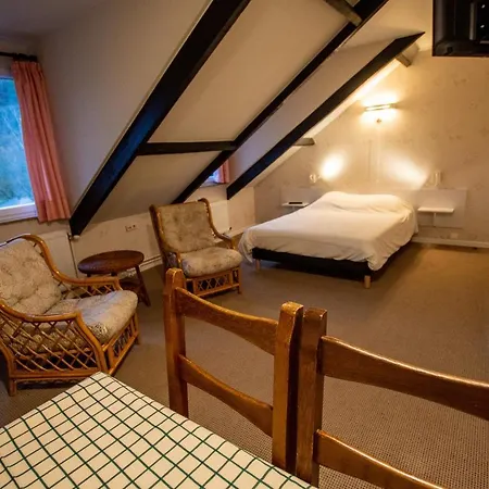 Hotel Le Vieux Moulin