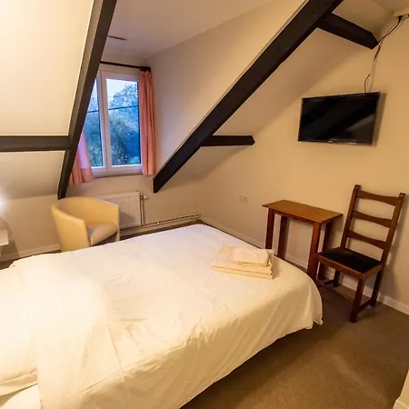 Hotel Le Vieux Moulin 2*