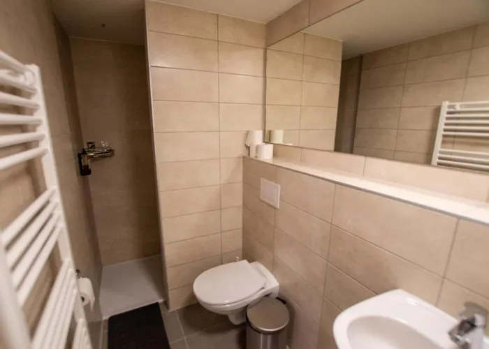 Hotel Le Vieux Moulin Poupehan