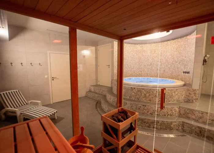 Le Vieux Moulin Poupehan