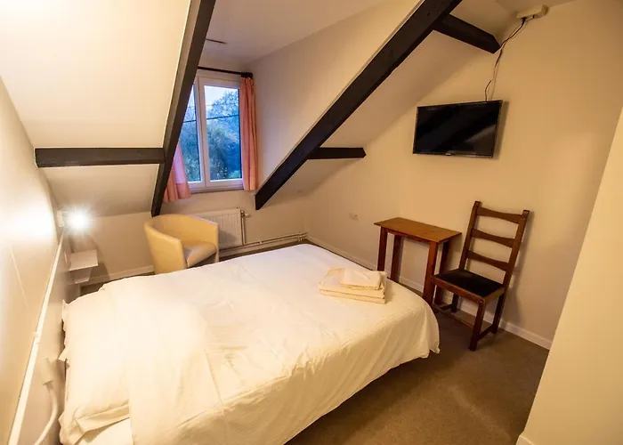 Hotel Le Vieux Moulin 2*